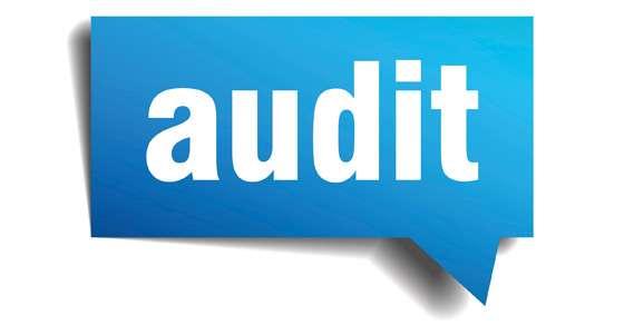Audit Services in Timonium